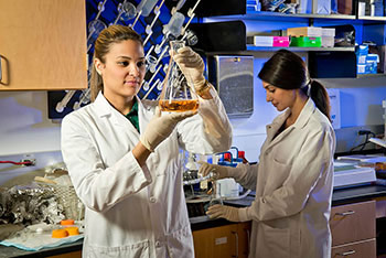 FAU medical students working in laboratory